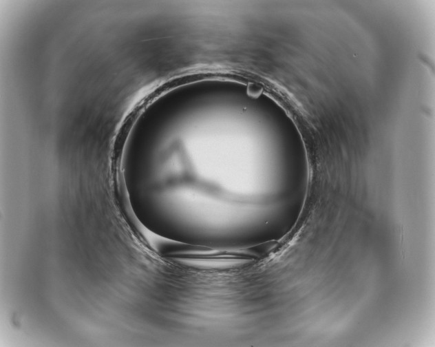 X0000094231168200710261250