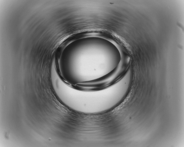 X0000094231169200710261250