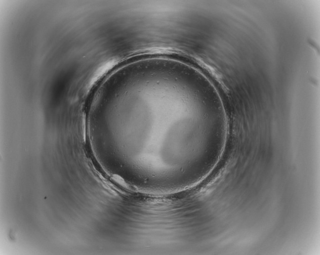 X0000094231171200710261250