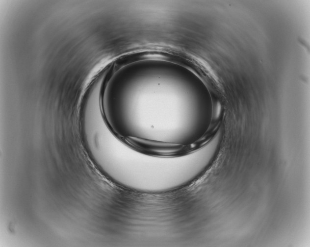 X0000094231172200710261250