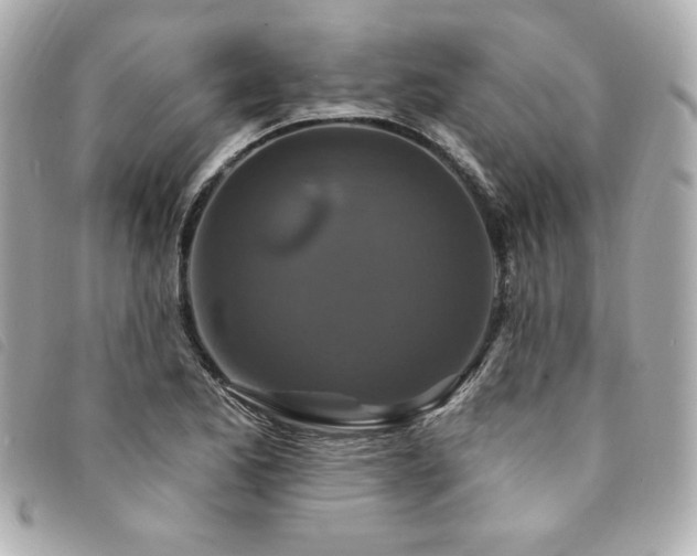 X0000094231173200710261250