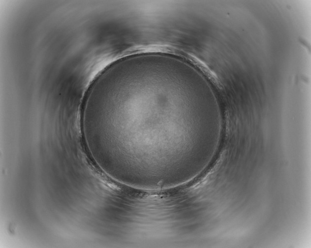 X0000094231174200710261250