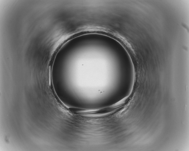 X0000094231175200710261250