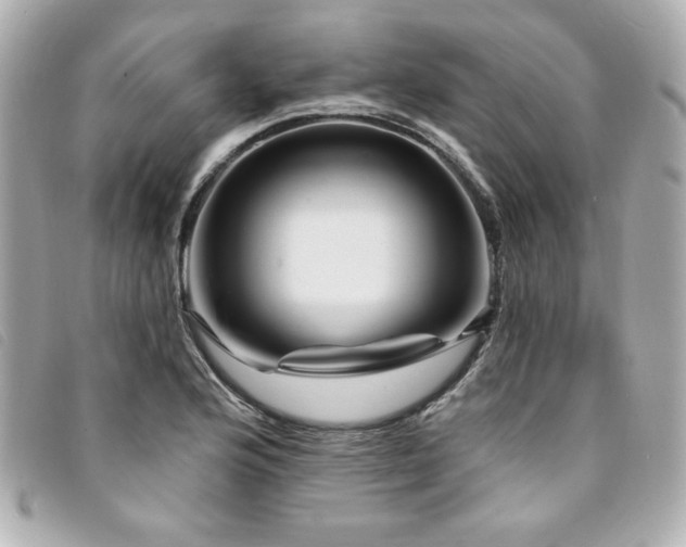 X0000094231176200710261250