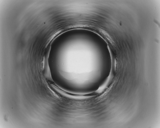 X0000094231177200710261250