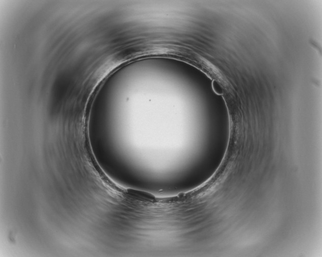 X0000094231178200710261250