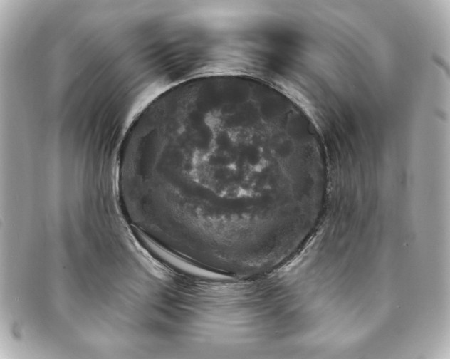 X0000094231179200710261250