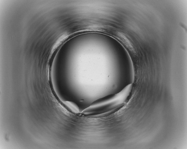 X0000094231180200710261250