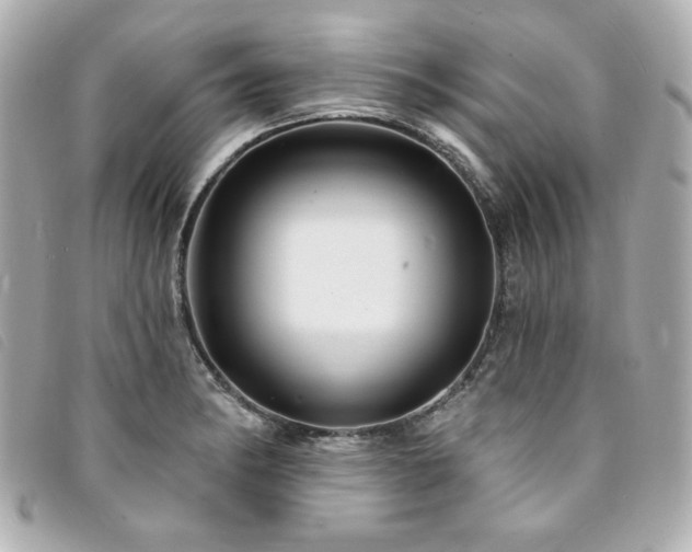 X0000094231182200710261250
