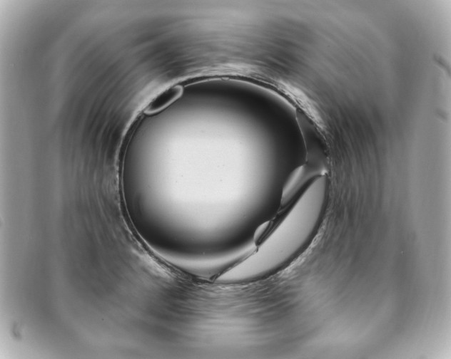 X0000094231184200710261250