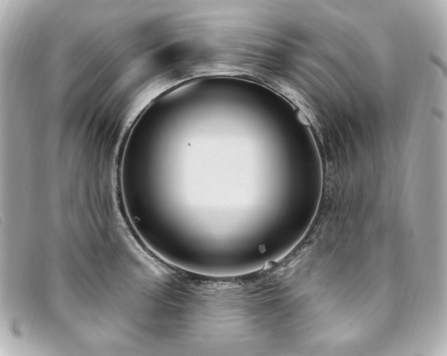 X0000094231187200710261250