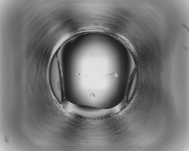 X0000094231188200710261250