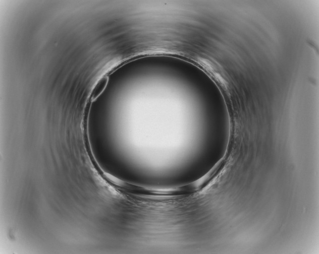 X0000094231189200710261250