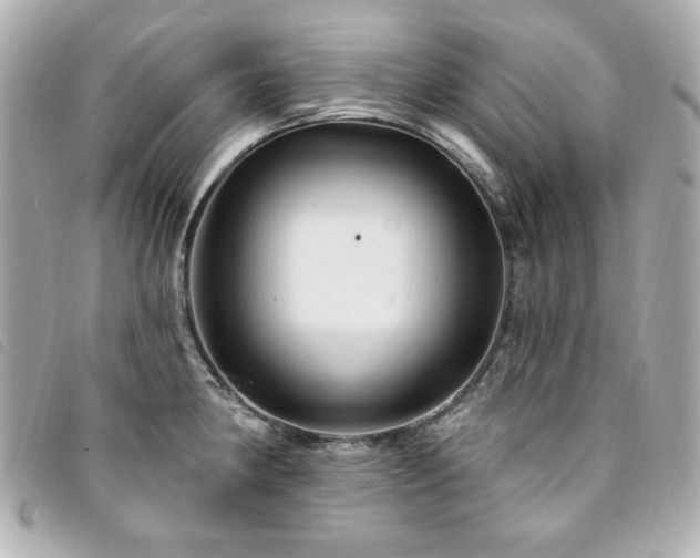 X0000094231190200710261250