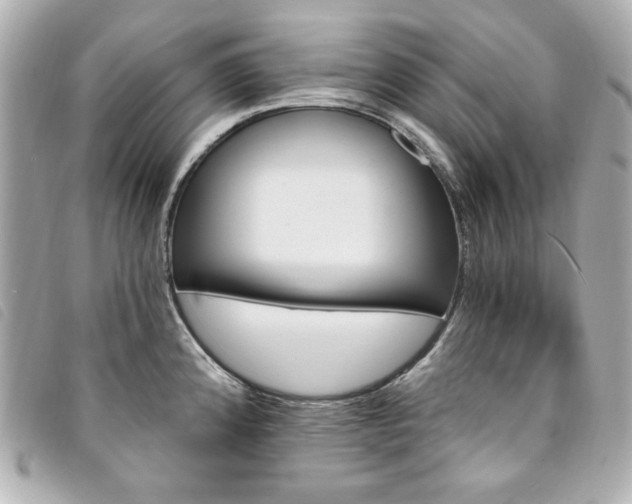 X0000094231192200710261250