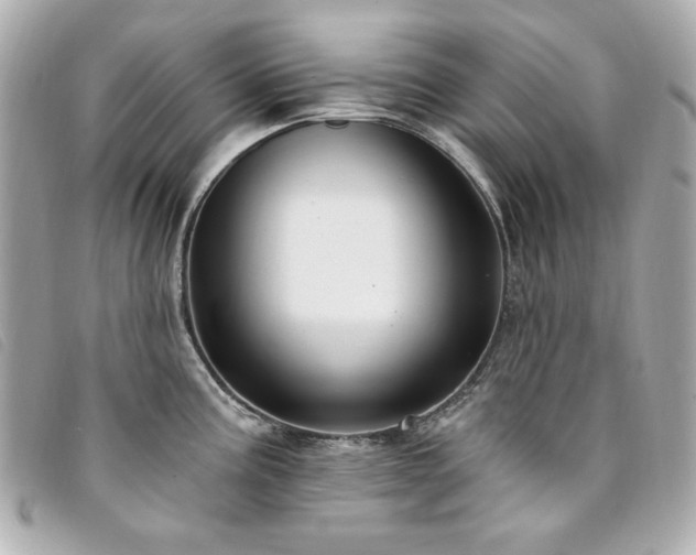 X0000094231195200710261250