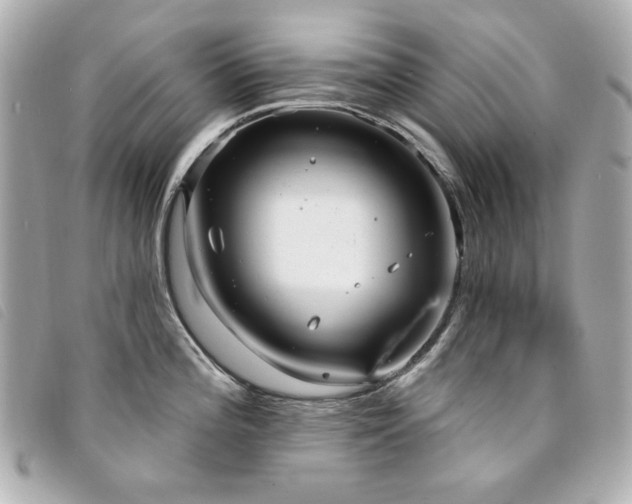 X0000094231196200710261250