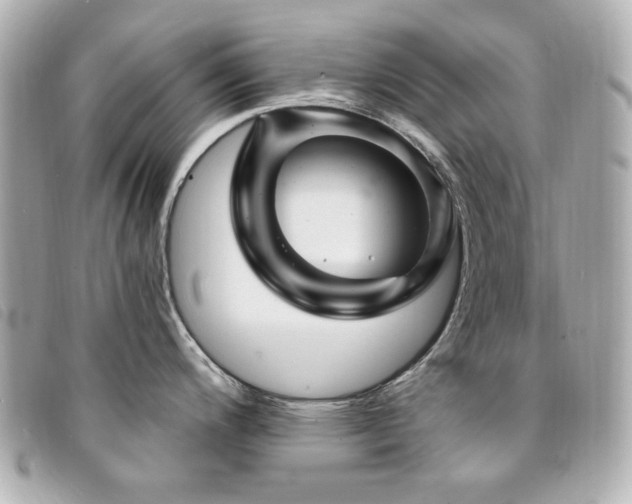 X0000094231200200710261250