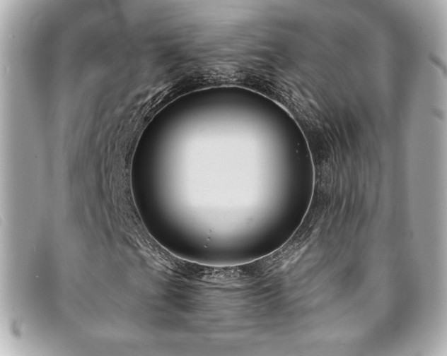 X0000094231201200710261250