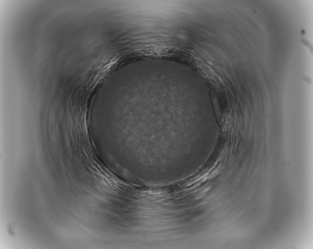 X0000094231202200710261250