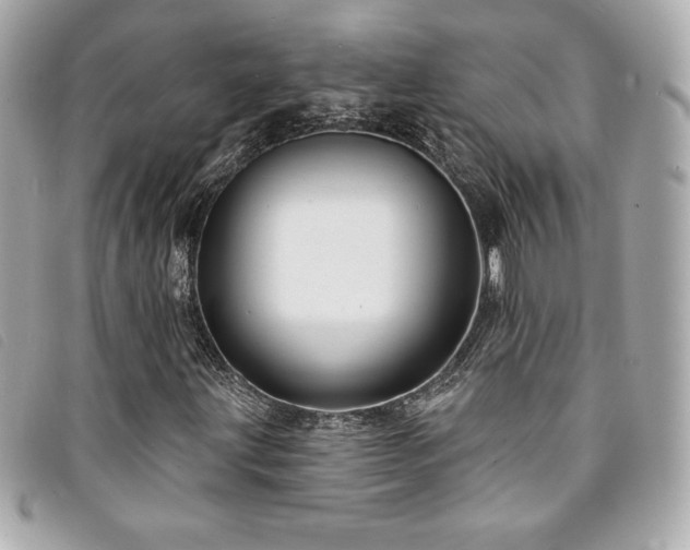 X0000094231203200710261250