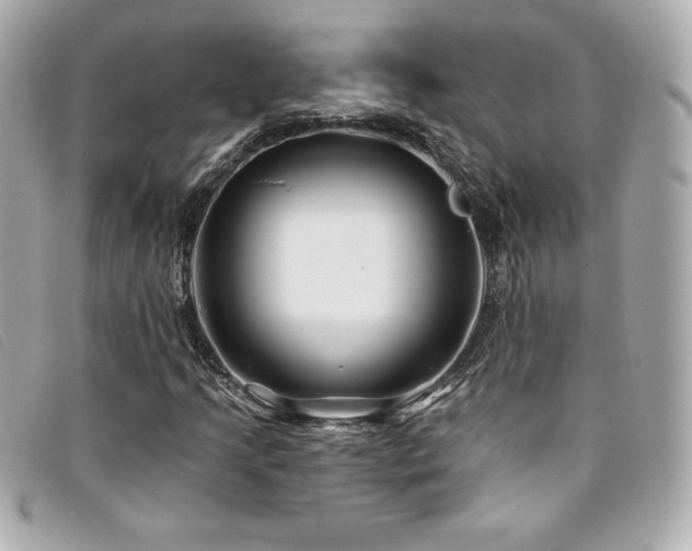 X0000094231205200710261250