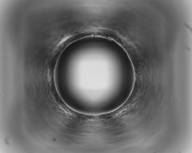 X0000094231206200710261250