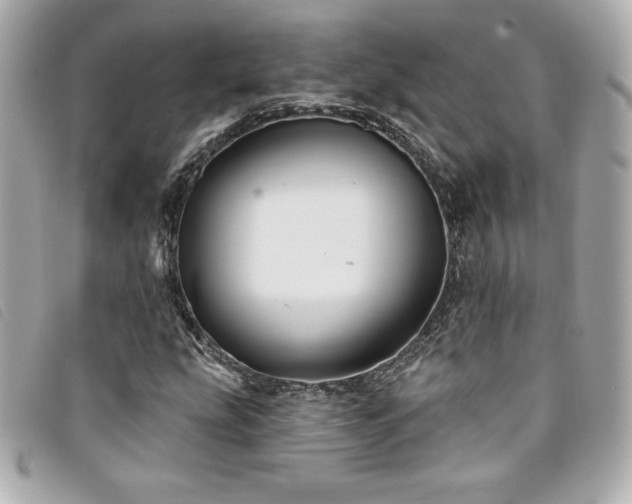 X0000094231207200710261250