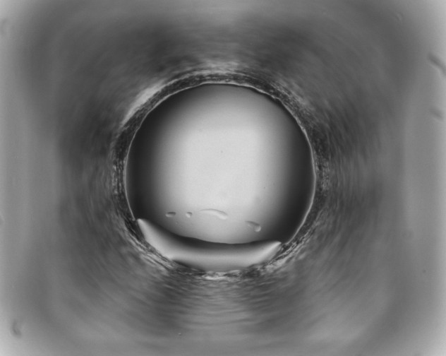 X0000094231208200710261250