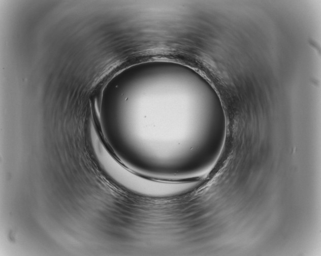 X0000094231209200710261250