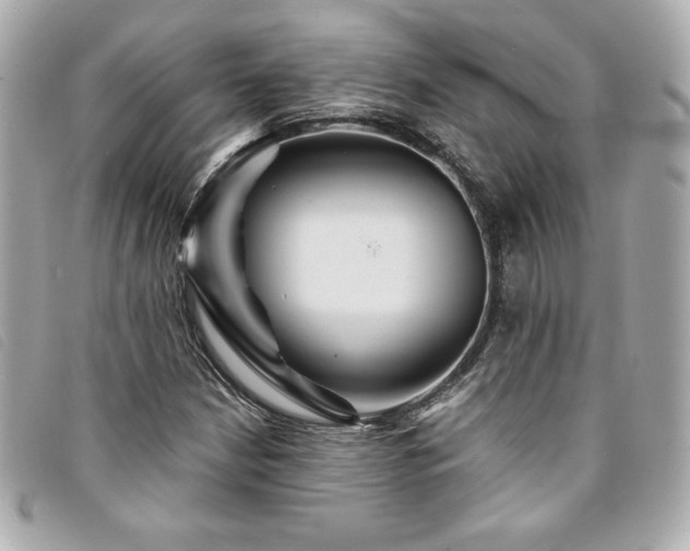 X0000094231210200710261250