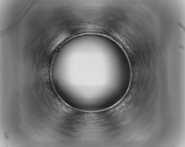 X0000094231211200710261250