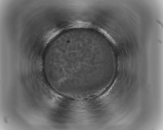 X0000094231213200710261250