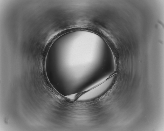 X0000094231214200710261250