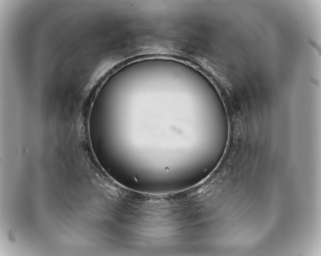 X0000094231215200710261250