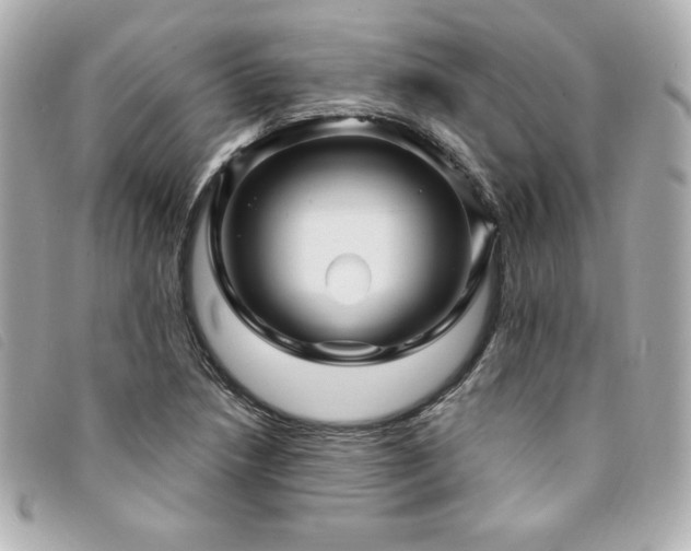 X0000094231218200710261250