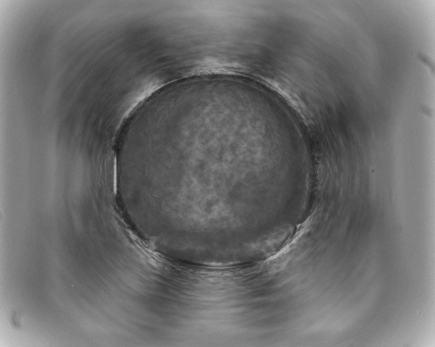 X0000094231219200710261250