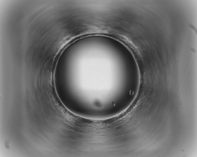 X0000094231220200710261250