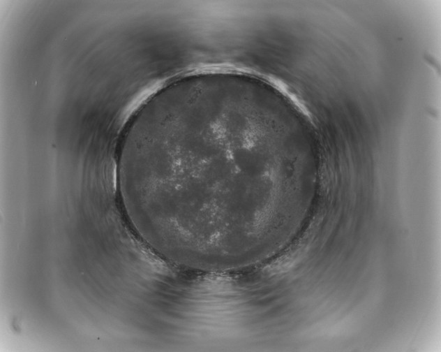 X0000094231221200710261250