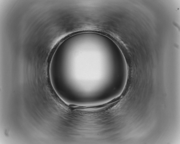 X0000094231222200710261250