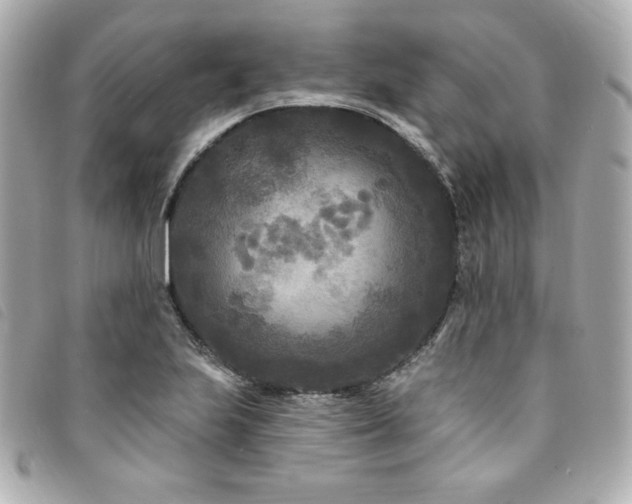 X0000094231223200710261250