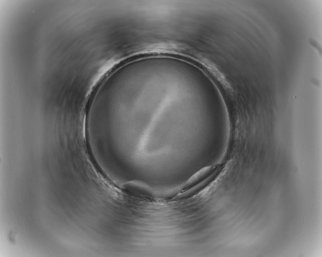 X0000094231224200710261250