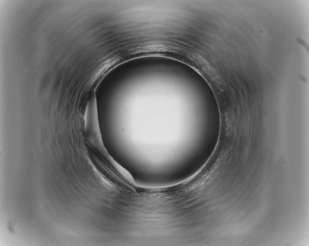 X0000094231225200710261250