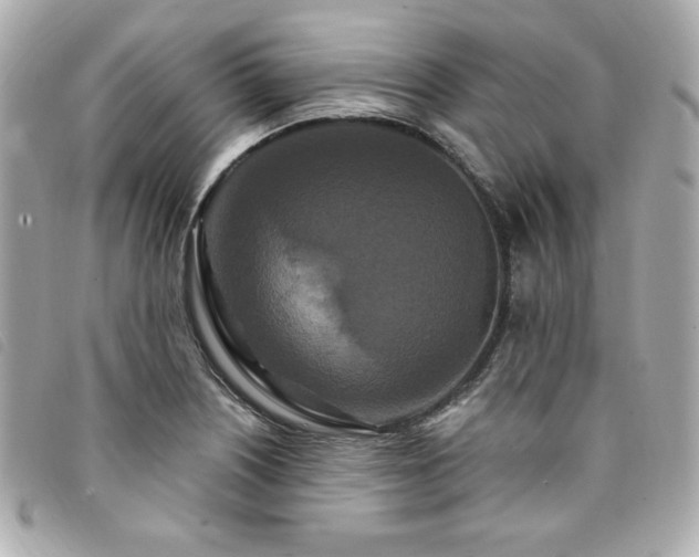 X0000094231226200710261250