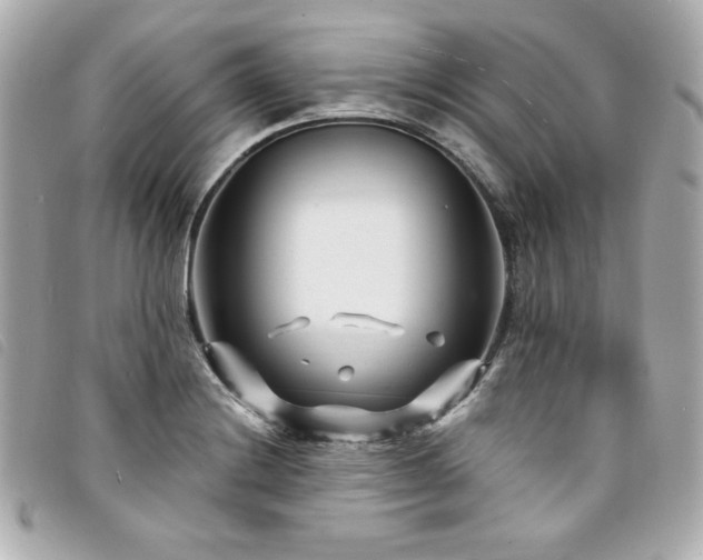 X0000094231228200710261250