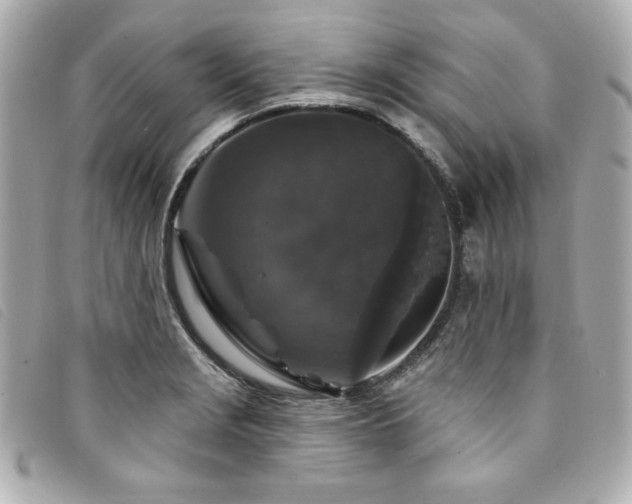 X0000094231229200710261250