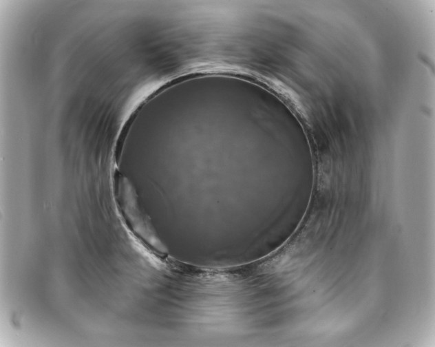 X0000094231231200710261250