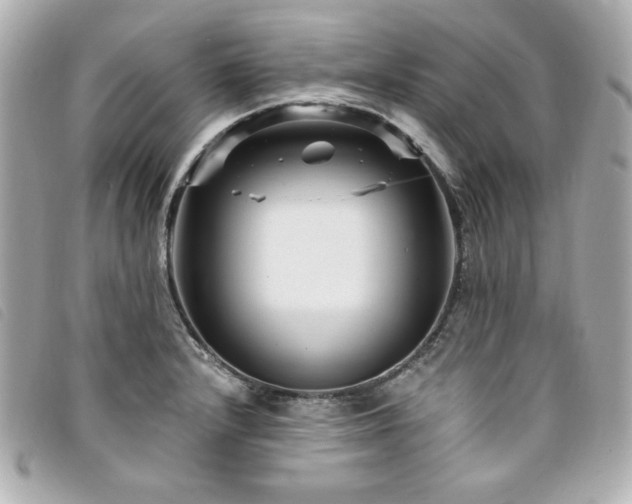 X0000094231232200710261250