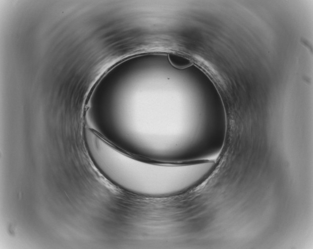 X0000094231236200710261250