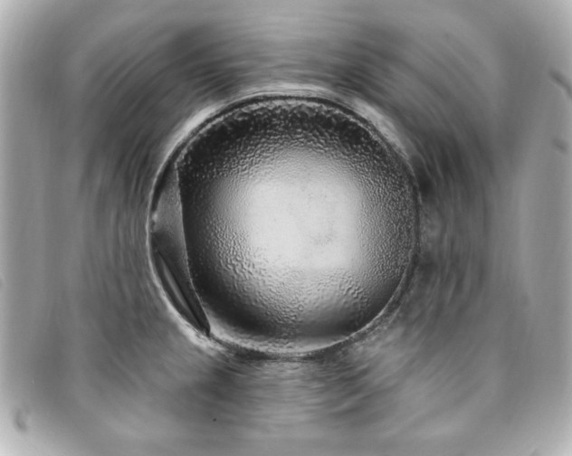 X0000094231237200710261250